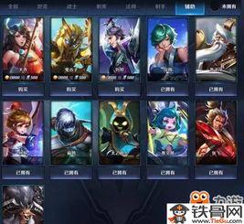 王者皮肤爆料最新信息图片,揭秘爆料图片中的神秘元素